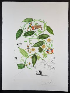 Flora Dalinae Passionflower