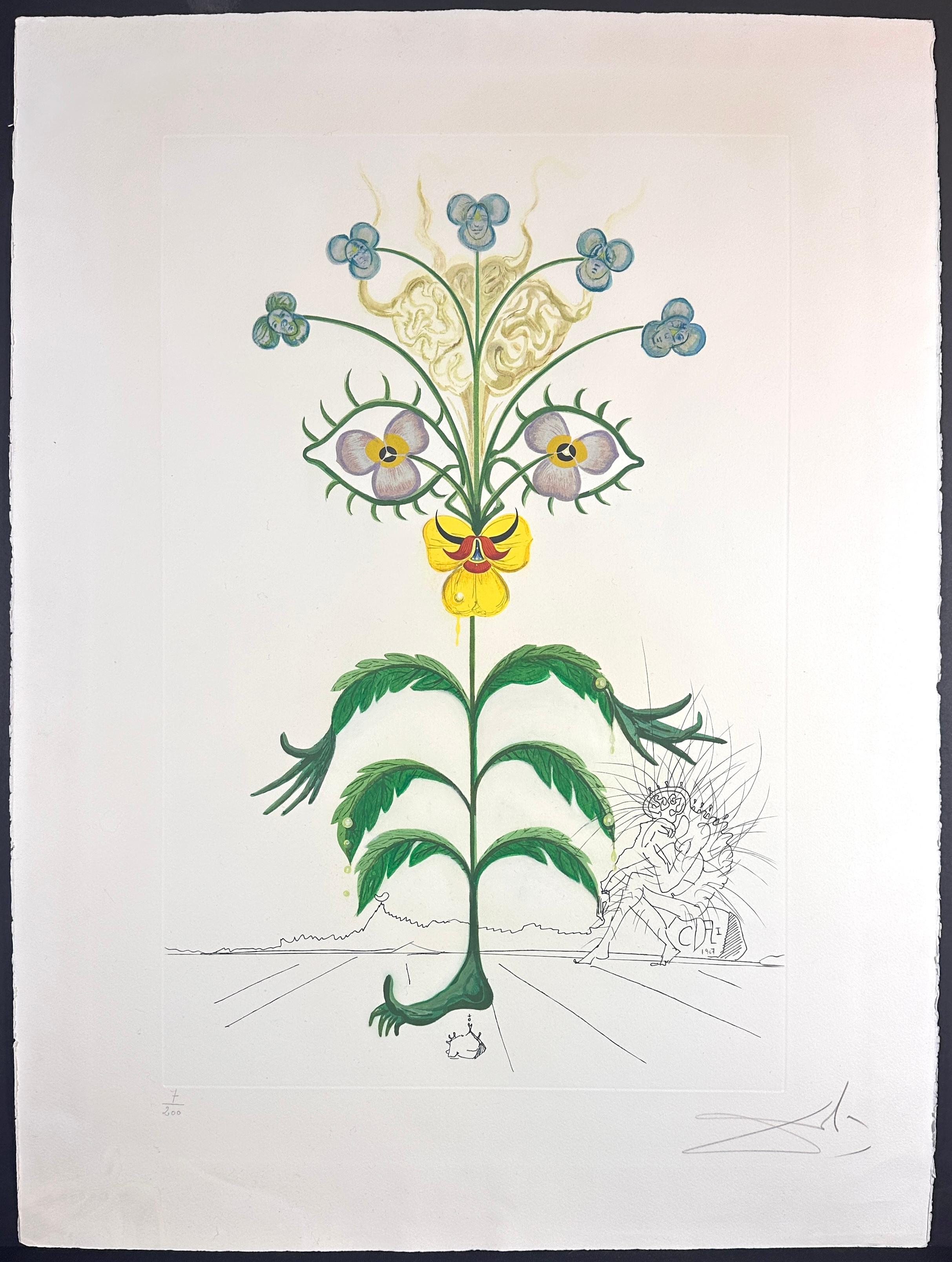 Flora Dalinae Viola Cogitans/Self Portrait Pansy