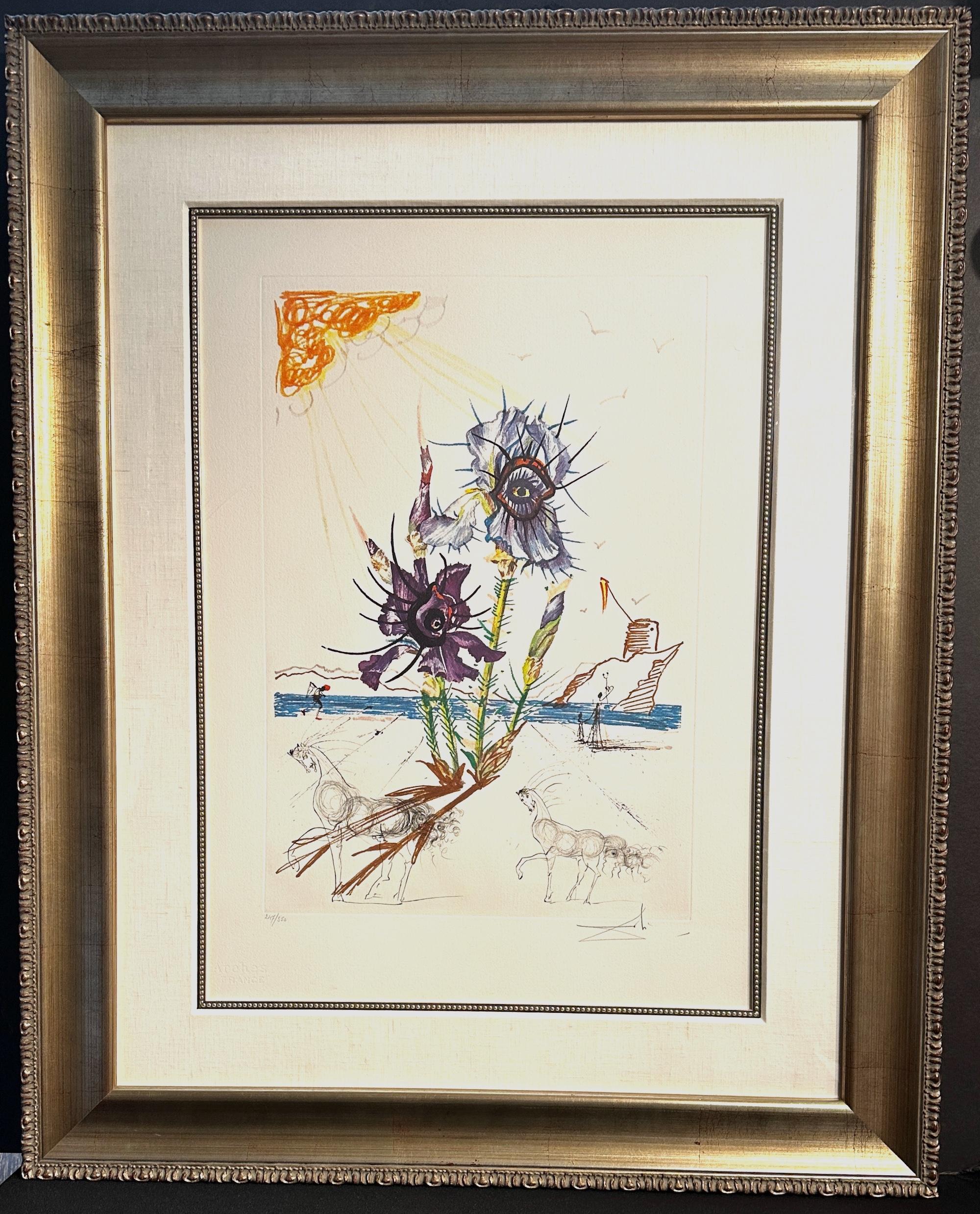 Iris floral - Print de Salvador Dalí