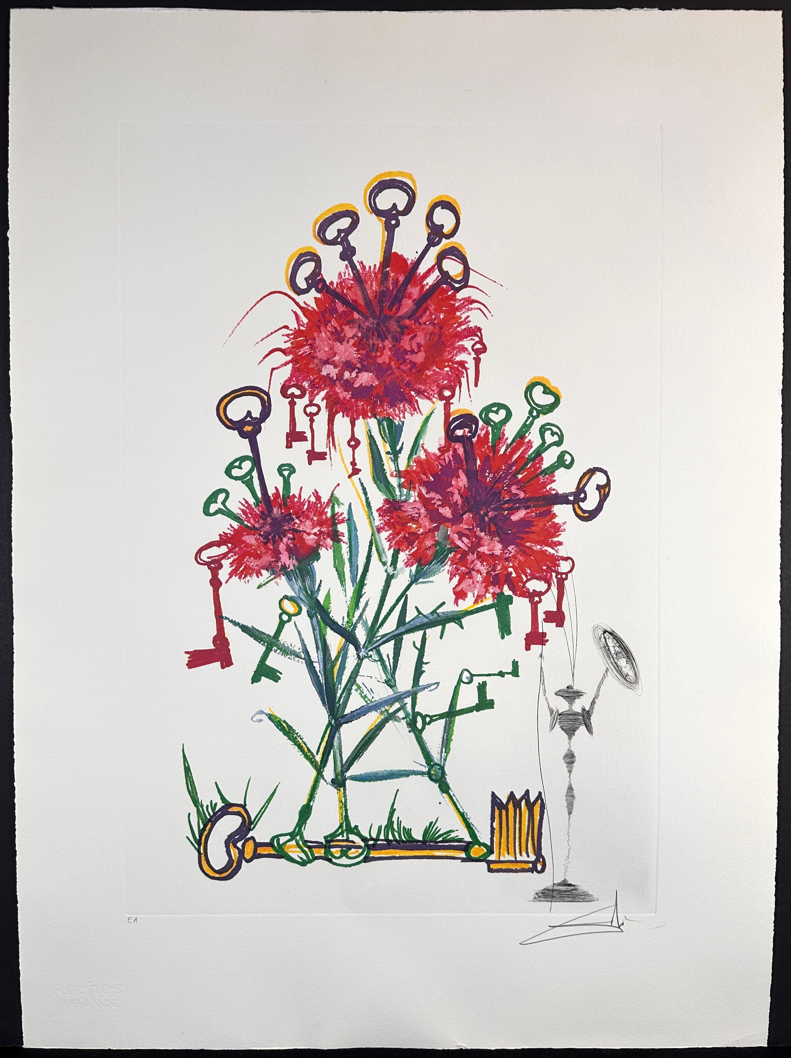 Florals Carnation Don Quixote