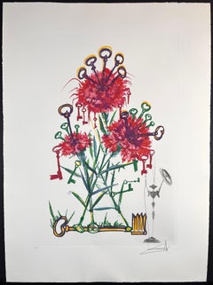Florals Carnation Don Quixote