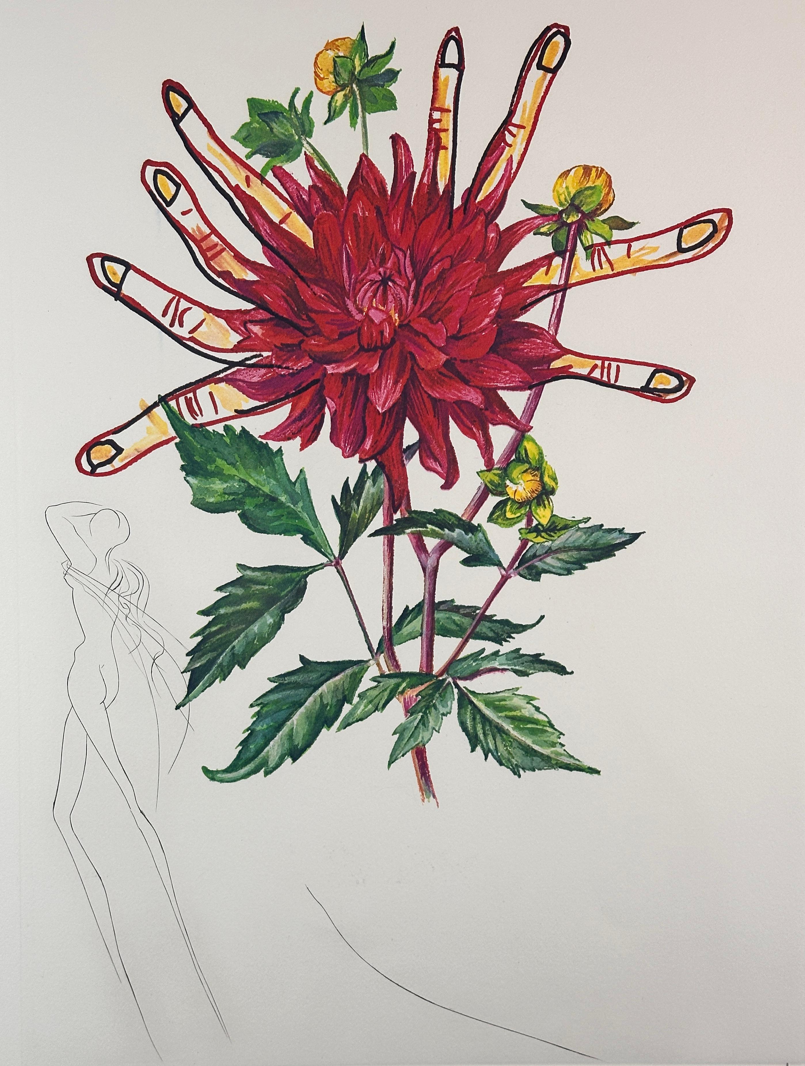Florals Dahlia Venus - Print by Salvador Dalí