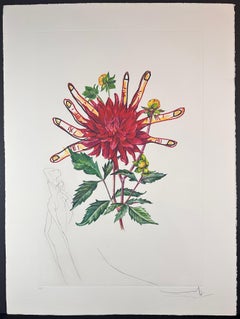 Fleurs Dahlia Venus