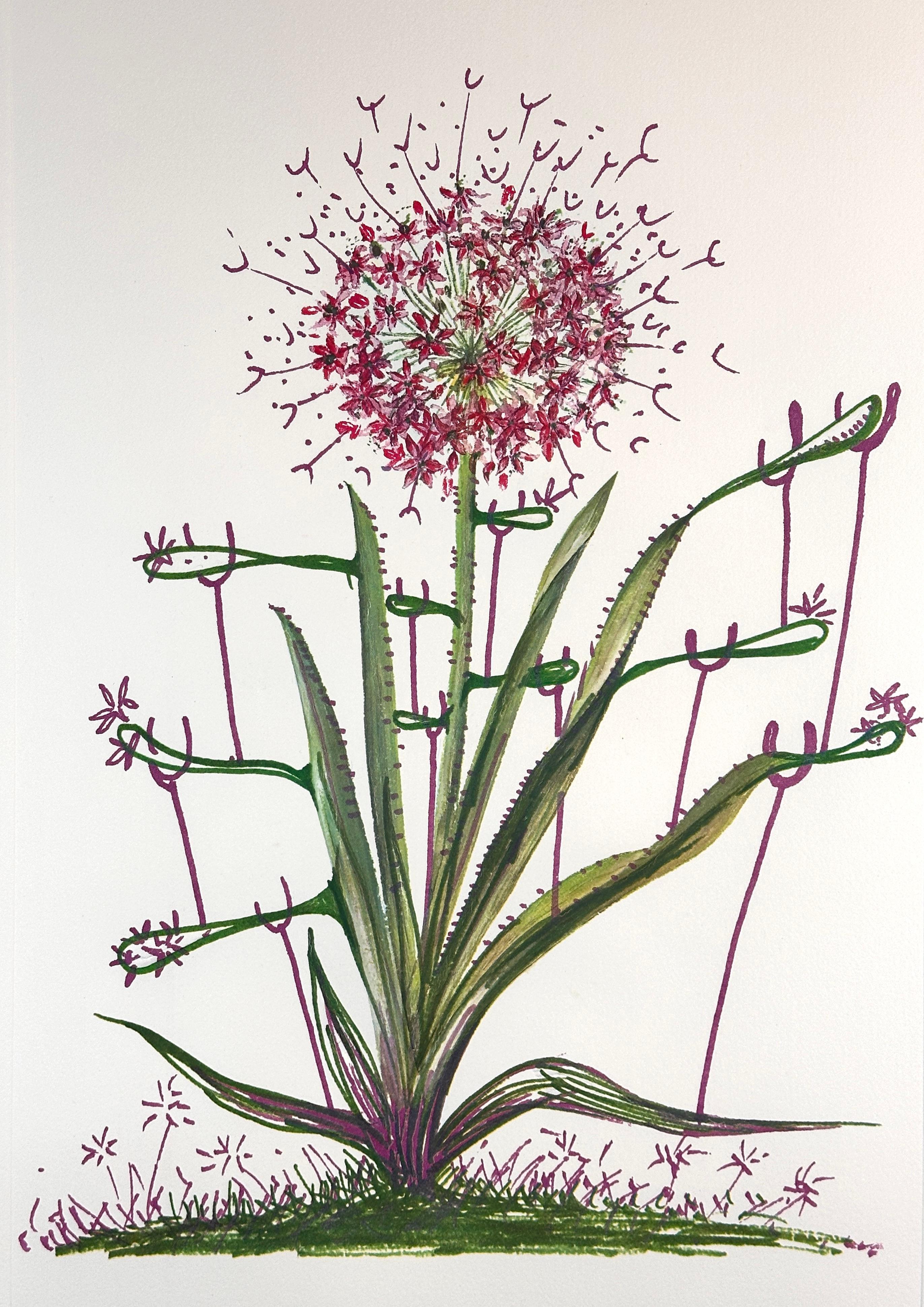 Florals Desert Cactus - Print by Salvador Dalí