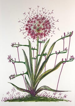 Florals Desert Cactus