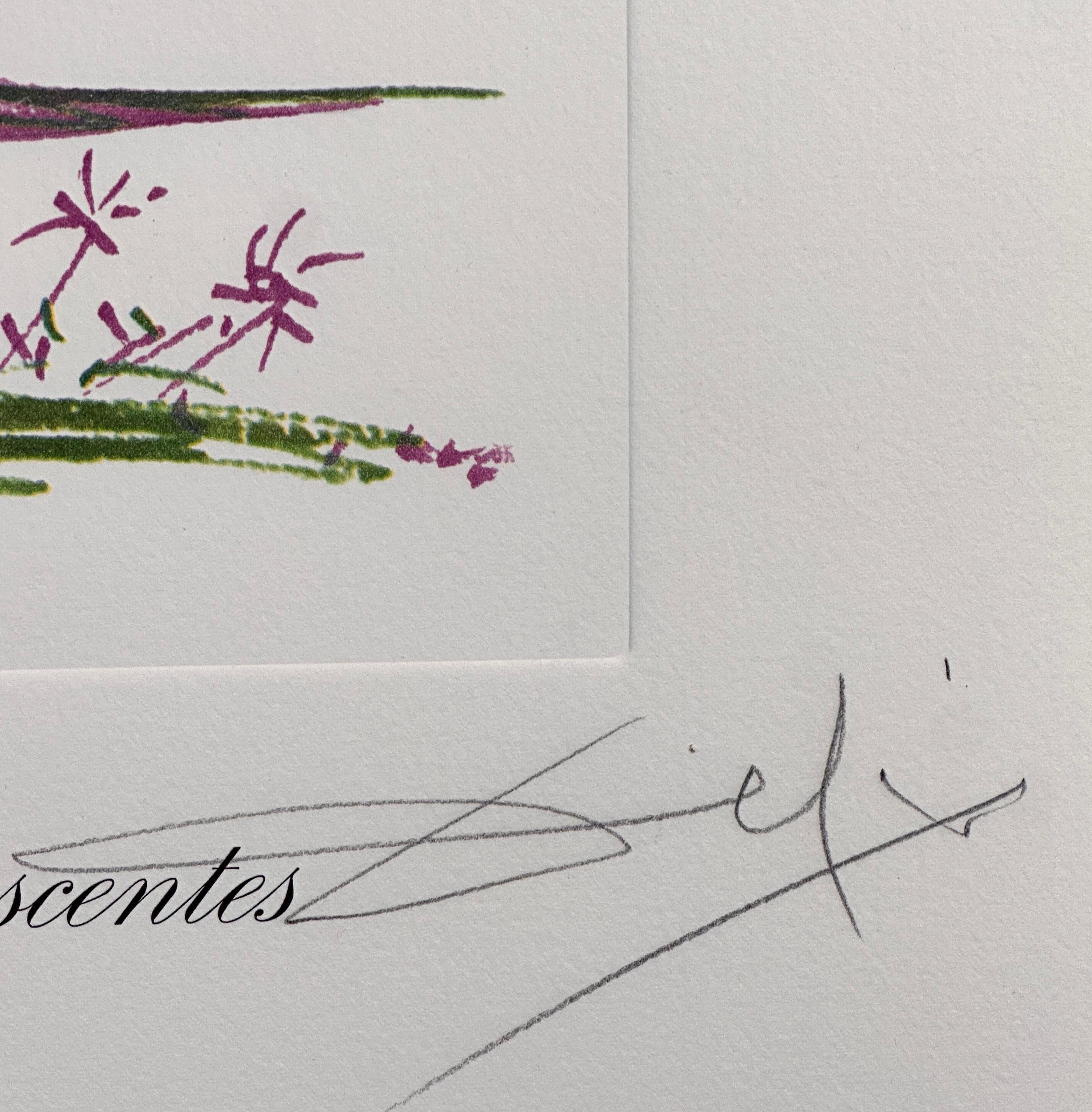 Florals Desert Cactus - Surrealist Print by Salvador Dalí