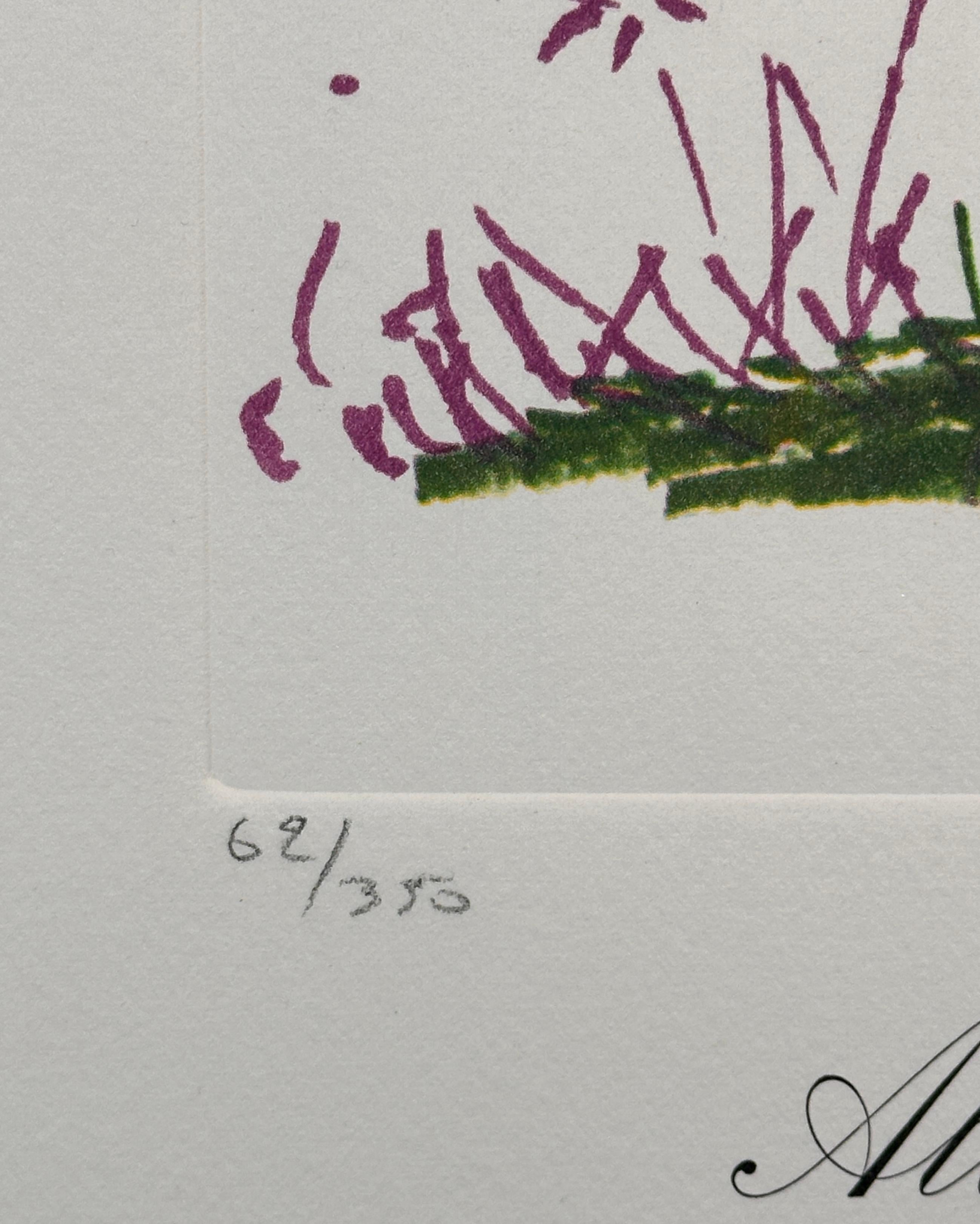 ARTIST: Salvador Dali

TITLE: Florals Desert Cactus

MEDIUM: Etching 

SIGNED: Hand Signed by Salvador Dali

EDITION NUMBER:  62/350

MEASUREMENTS: 29.4