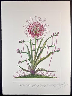 Florals Desert Cactus