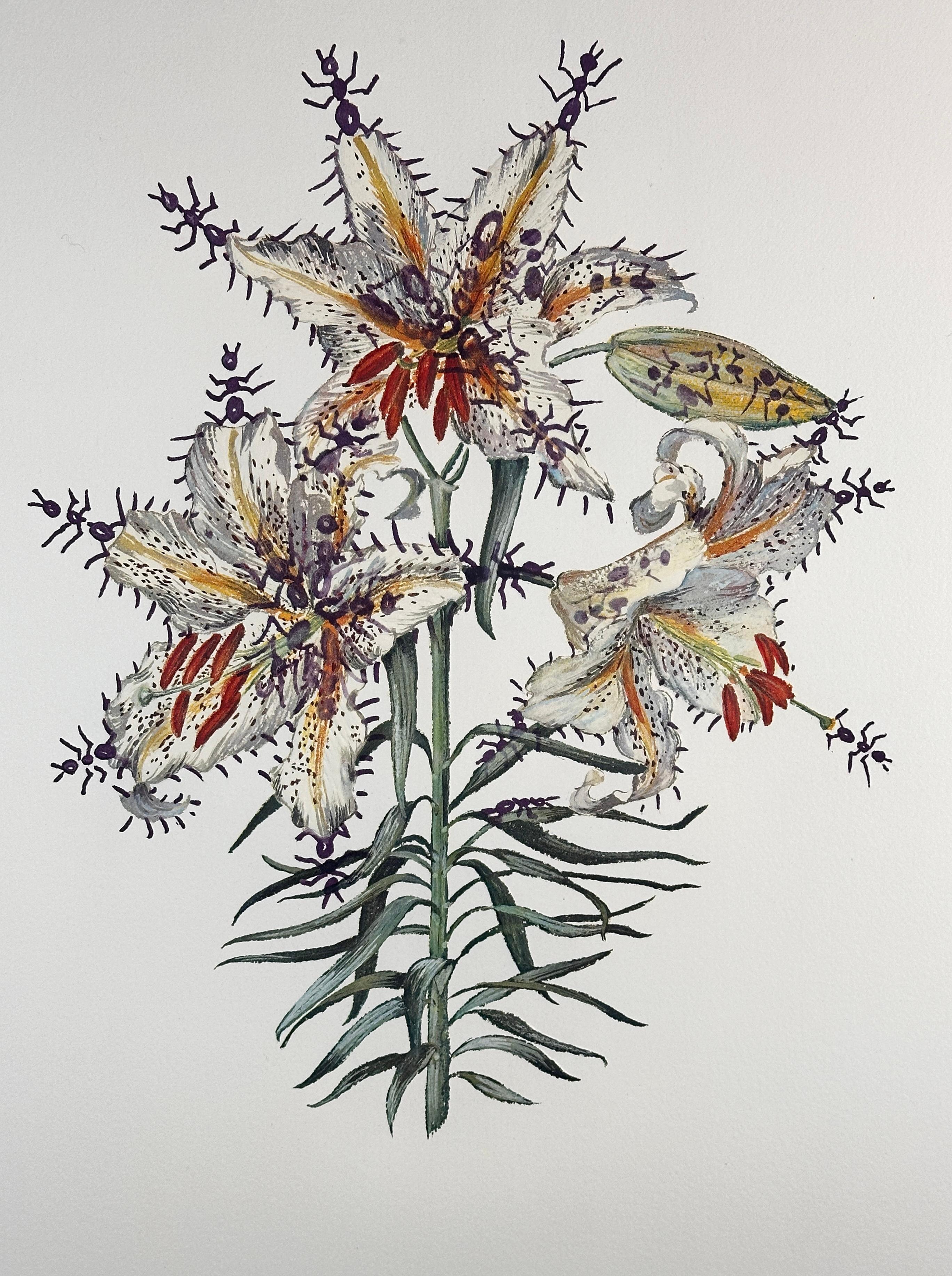 Blumen Erotische Lilie – Print von Salvador Dalí
