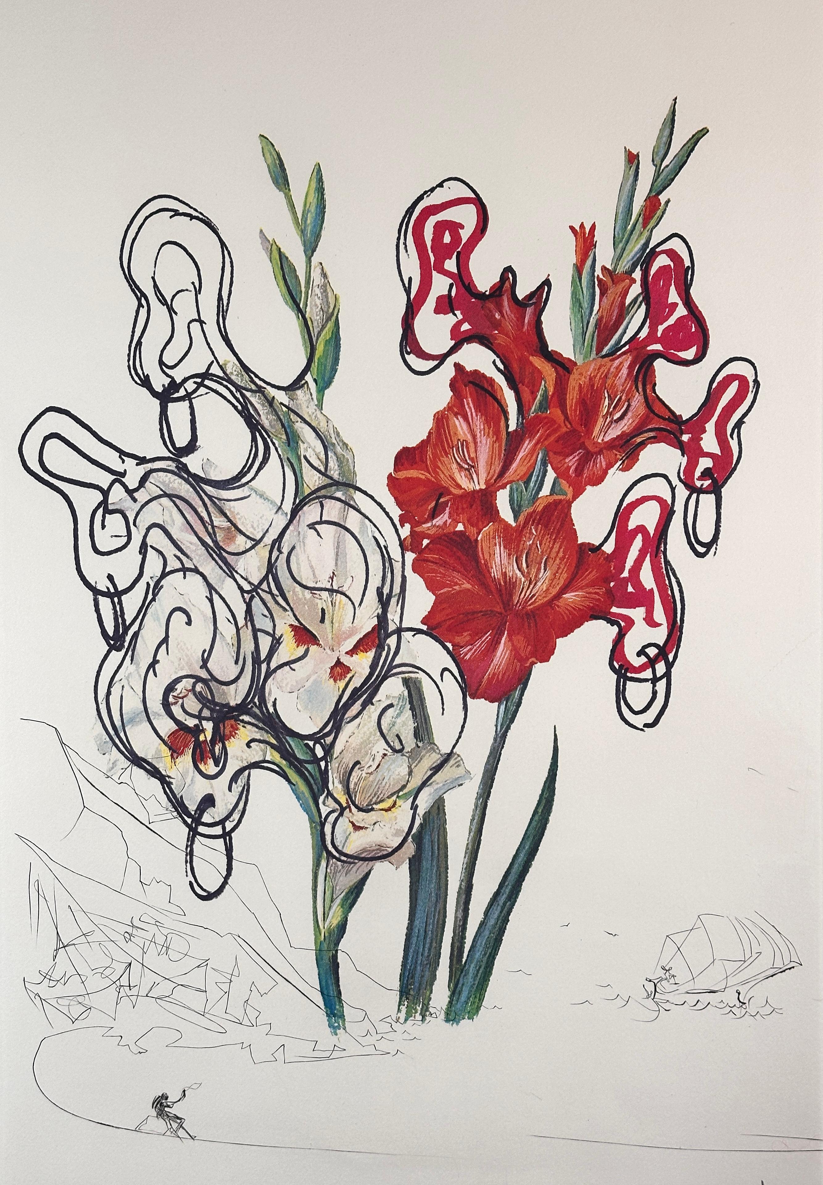 Florals Gladiolus (+ears) Costa Brava - Print by Salvador Dalí