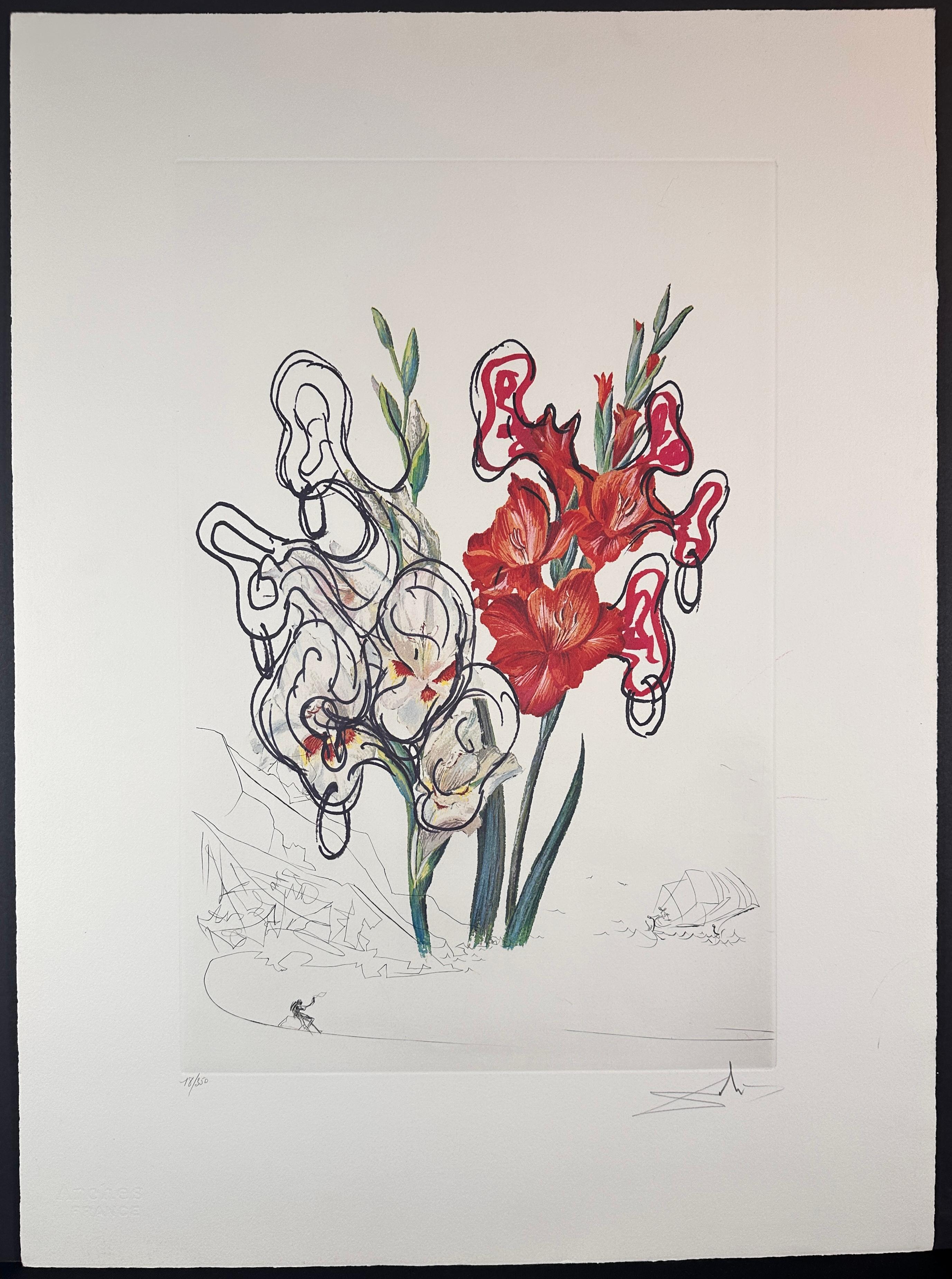 Salvador Dalí Still-Life Print - Florals Gladiolus (+ears) Costa Brava