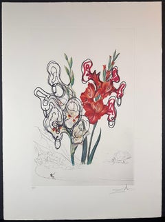 Florals Gladiolus (+ears) Costa Brava