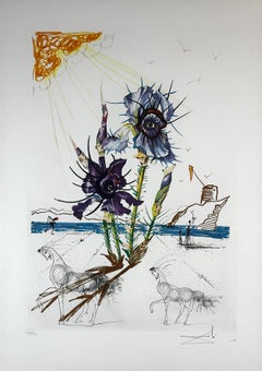 Fiori di Iris