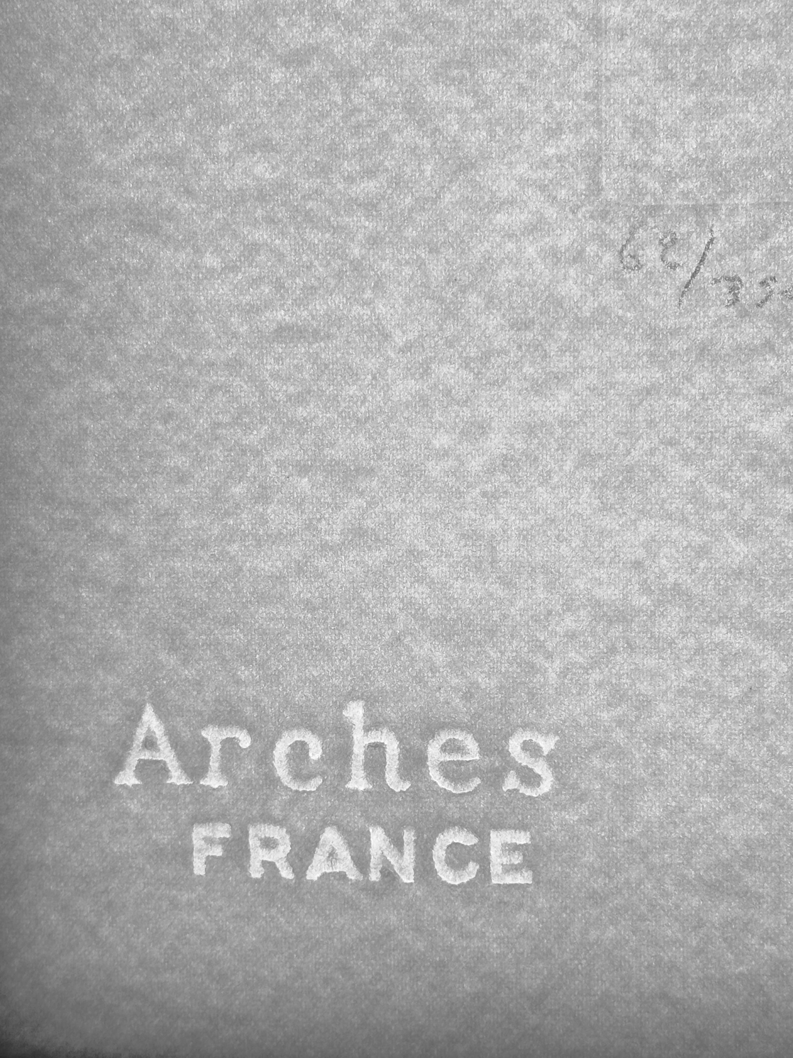 Blumen Iris der Jugend von Dali im Angebot 1