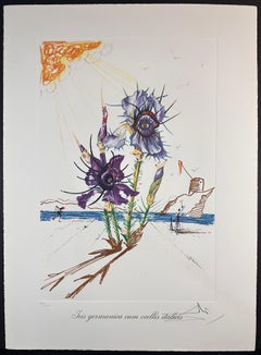 Florals Iris of Dali's Youth