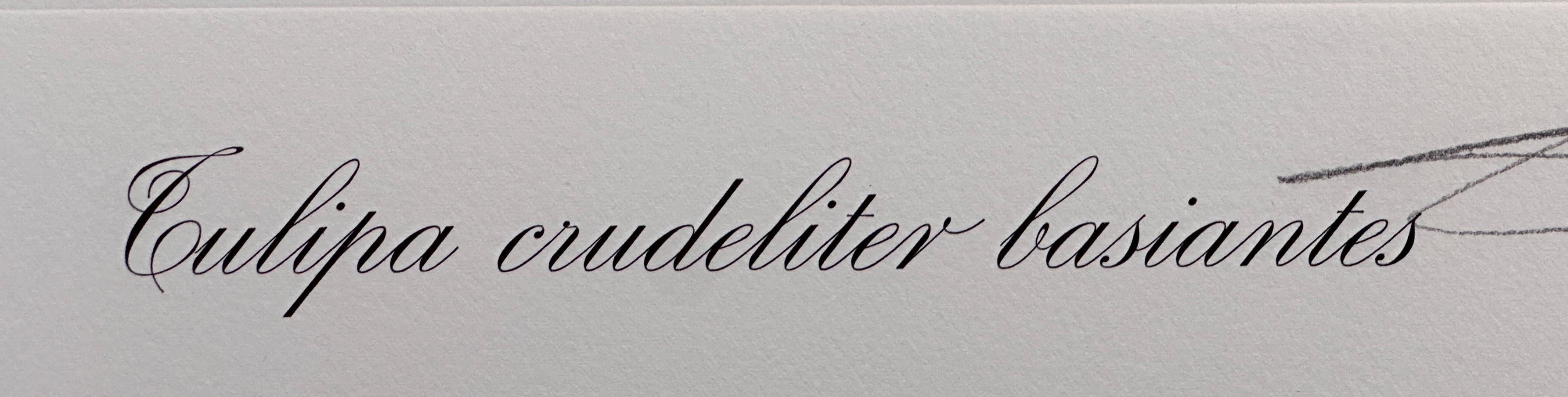 Florals Kissing Tulips - Gray Still-Life Print by Salvador Dalí