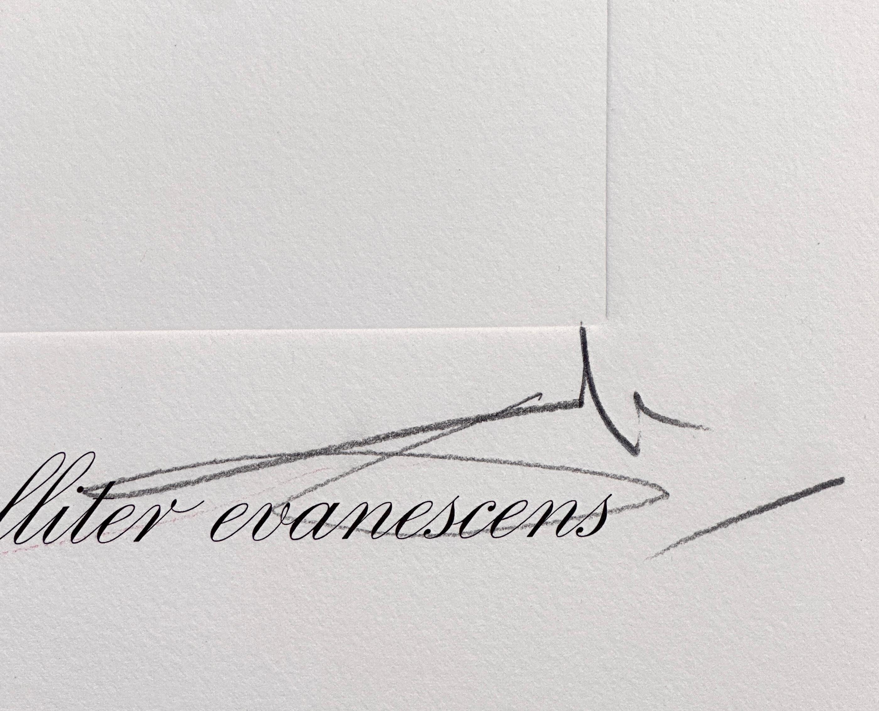 Florals Lilies of Time - Beige Print by Salvador Dalí