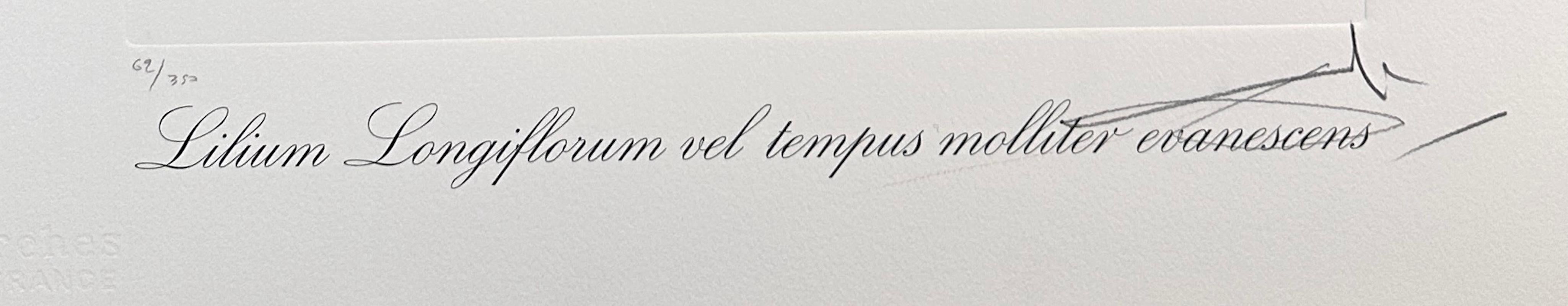 Florals Lilies of Time For Sale 1