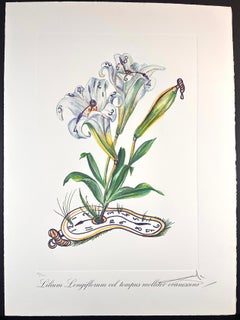 Incisione di altre stampe