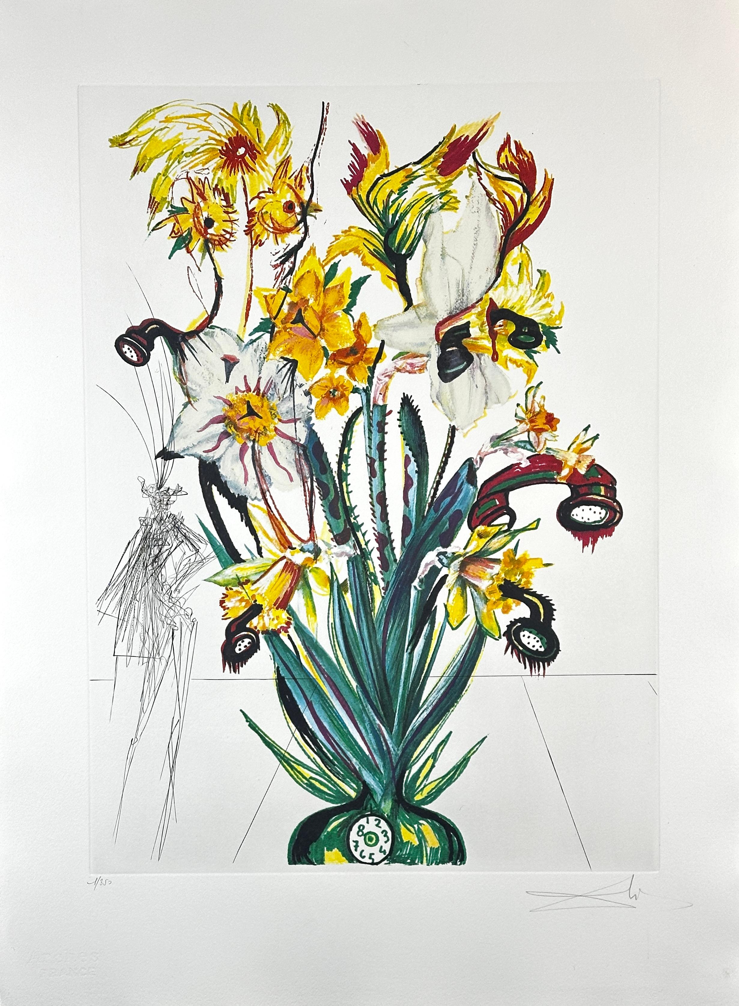Fiori Narciso (Telefoni) Andalou