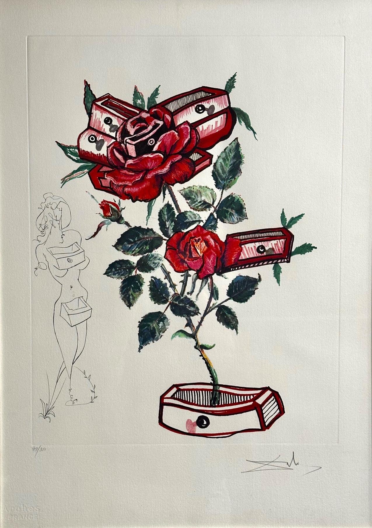 Blumen Rose – Print von Salvador Dalí