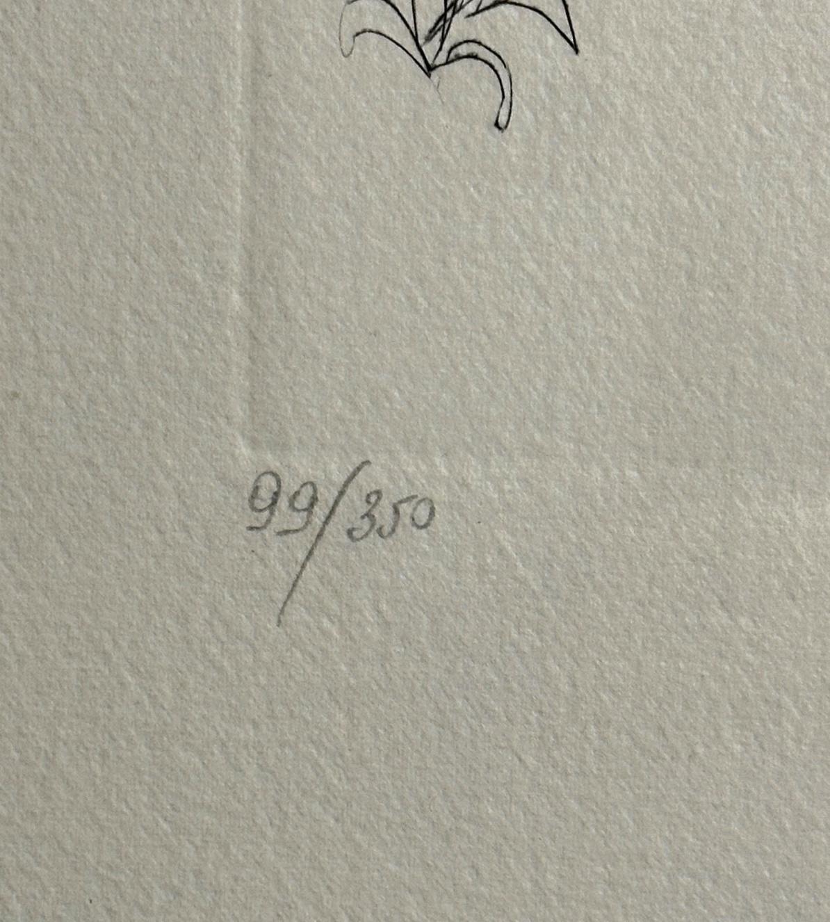 KÜNSTLER: Salvador Dali

TITEL: Blumen Rose

MEDIUM: Radierung

SIGNIERT: Handsigniert 

AUFLAGENNUMMER: 99/350

ABMESSUNGEN: 21.6