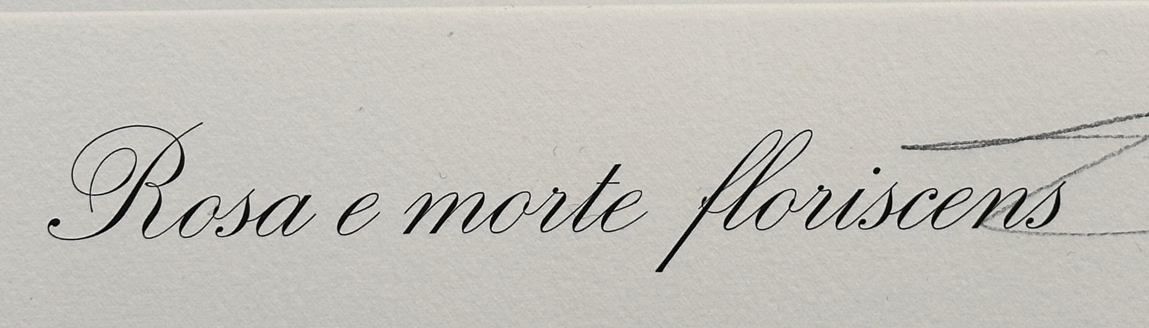 ARTIST: Salvador Dali

TITLE: Florals Roses of Memory 

MEDIUM: Etching on Heavy Arches paper

SIGNED: Hand Signed by Salvador Dali

PUBLISHER: Editions Graphiques Internationales

EDITION NUMBER: 62/350

MEASUREMENTS: 29.5