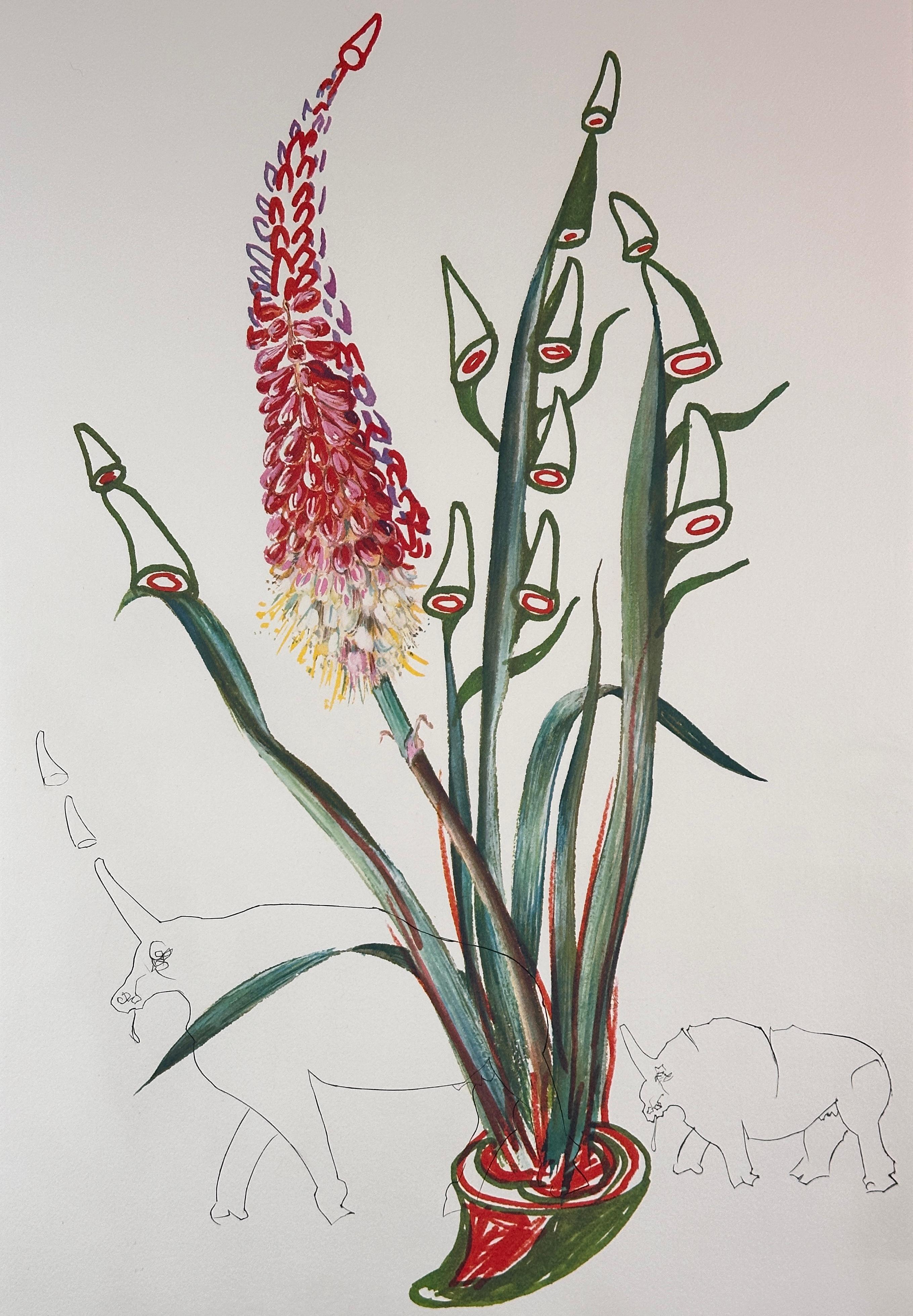 Florals Stock Rhinos - Print by Salvador Dalí