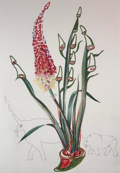 Florals Stock Rhinos