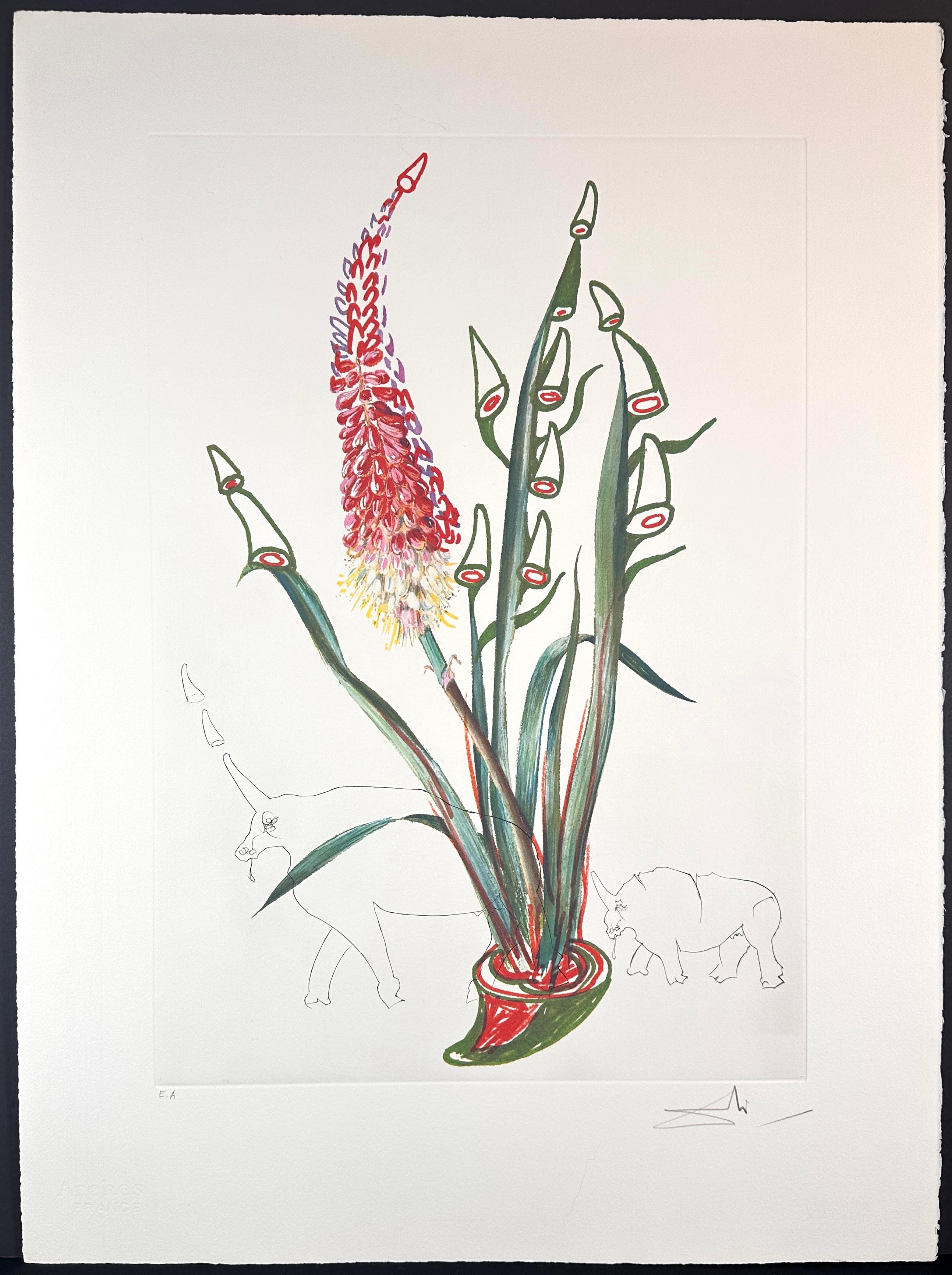 Florals Stock Rhinos