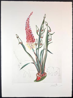 Florals Stock Rhinos