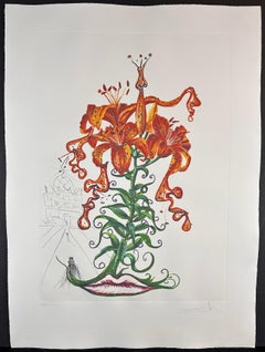 Fiori Gigli di Tigre