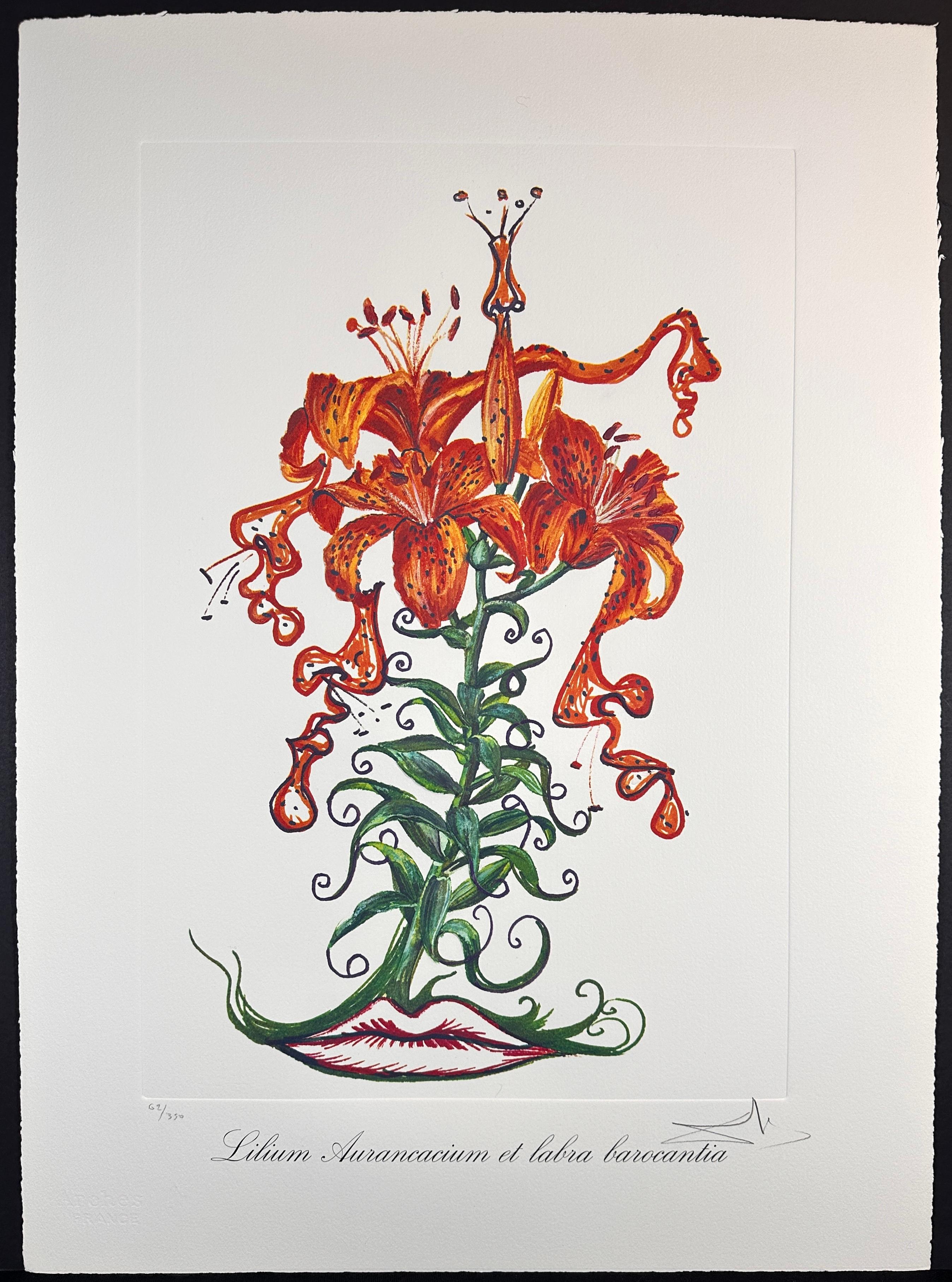 Florals Tiger Lilies of The Theatre