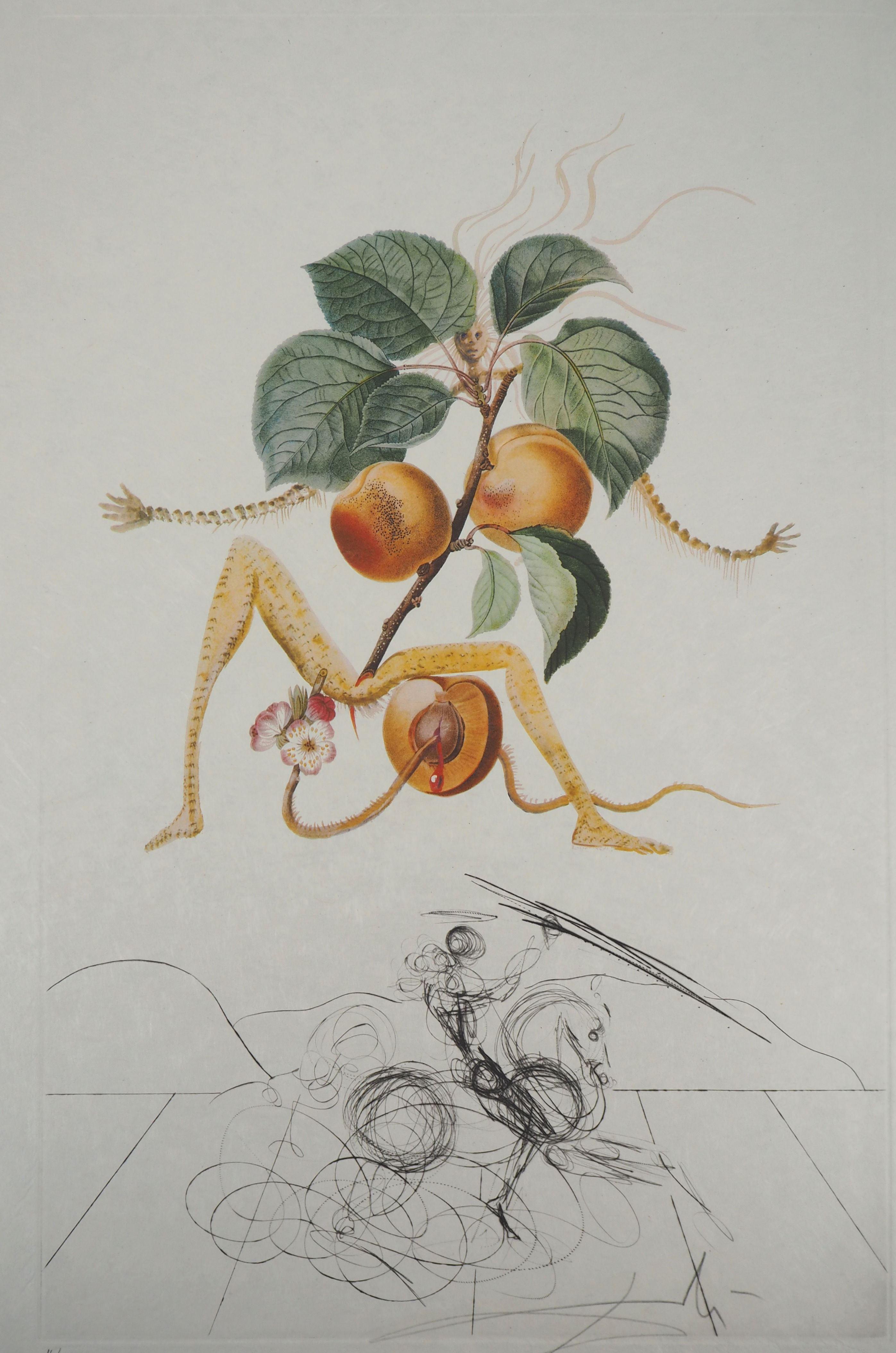 Flordali: Abricot Chevalier (Fruit) - Etching (Field 69-11D) - Surrealist Print by Salvador Dalí