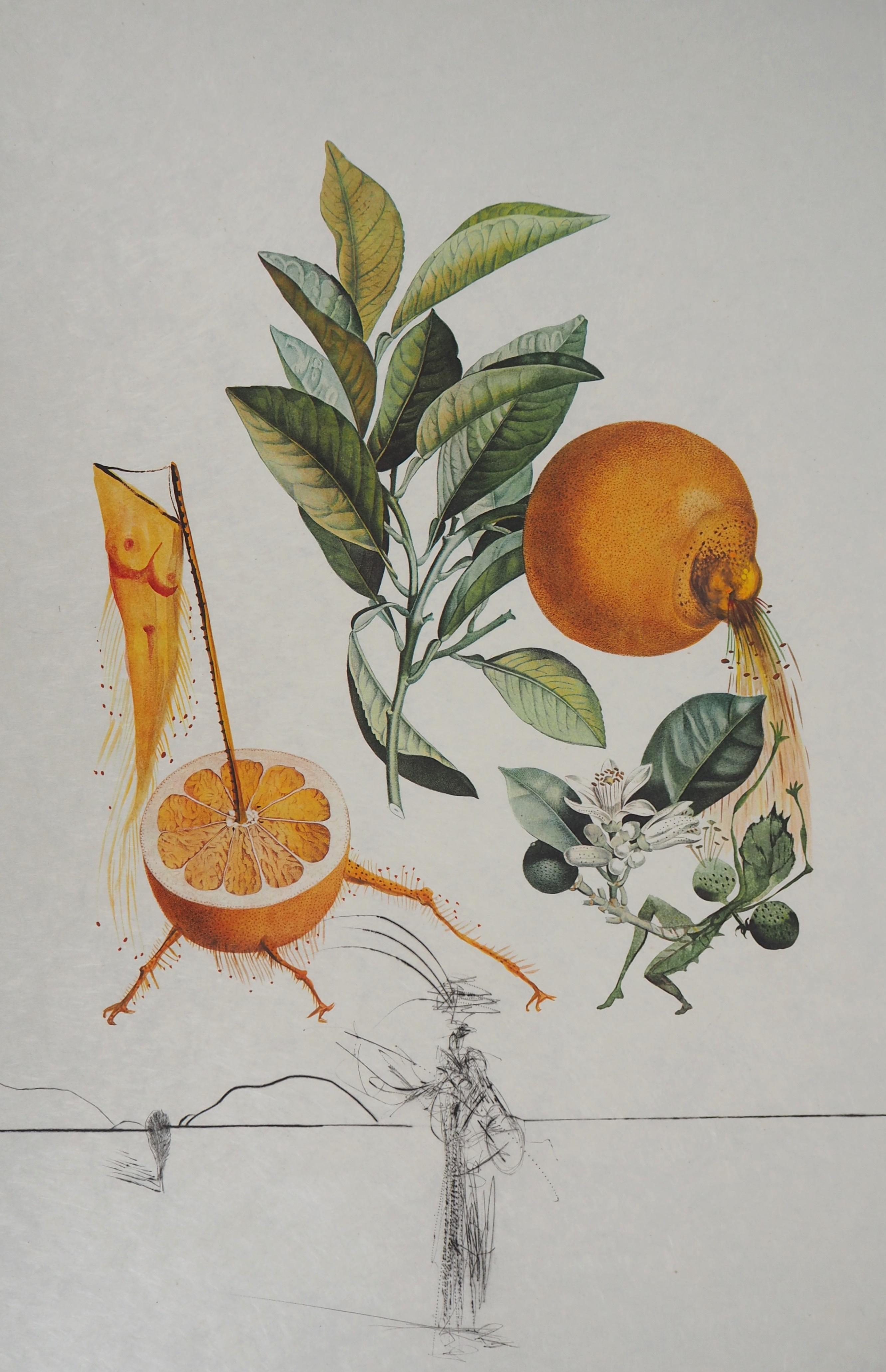 Flordali : Erotic Grapefruit - Original Handsigned Etching (Field #69-11I) - Print by Salvador Dalí