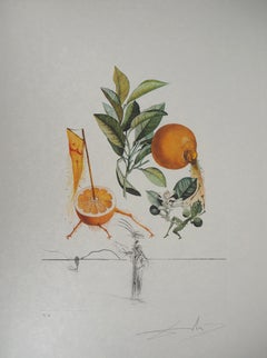 Flordali : Erotic Grapefruit - Original Handsigned Etching (Field #69-11I)