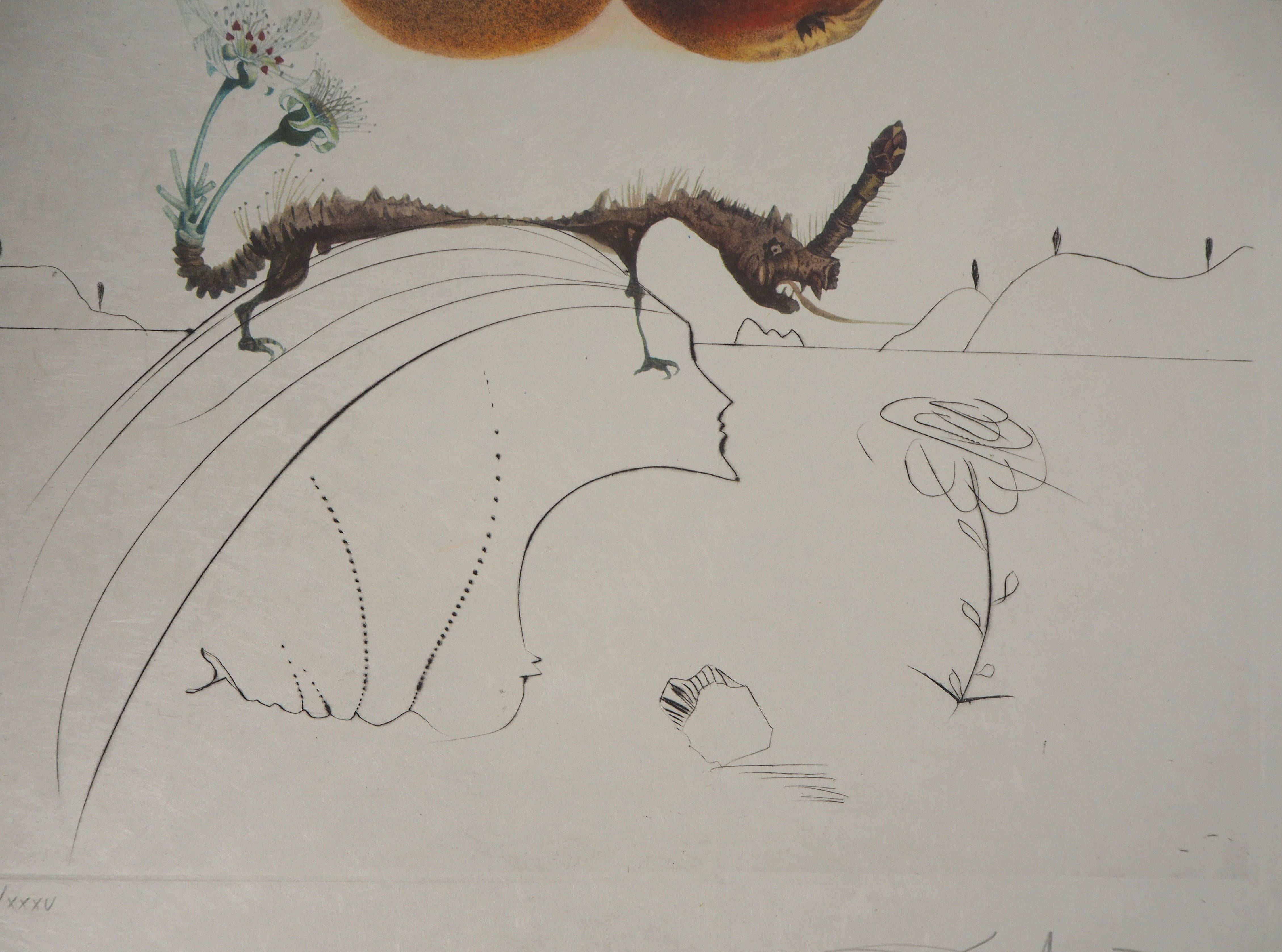 Flordali : Fruit with Holes - Original Handsigned Etching (Field 69-11F) - Print by Salvador Dalí