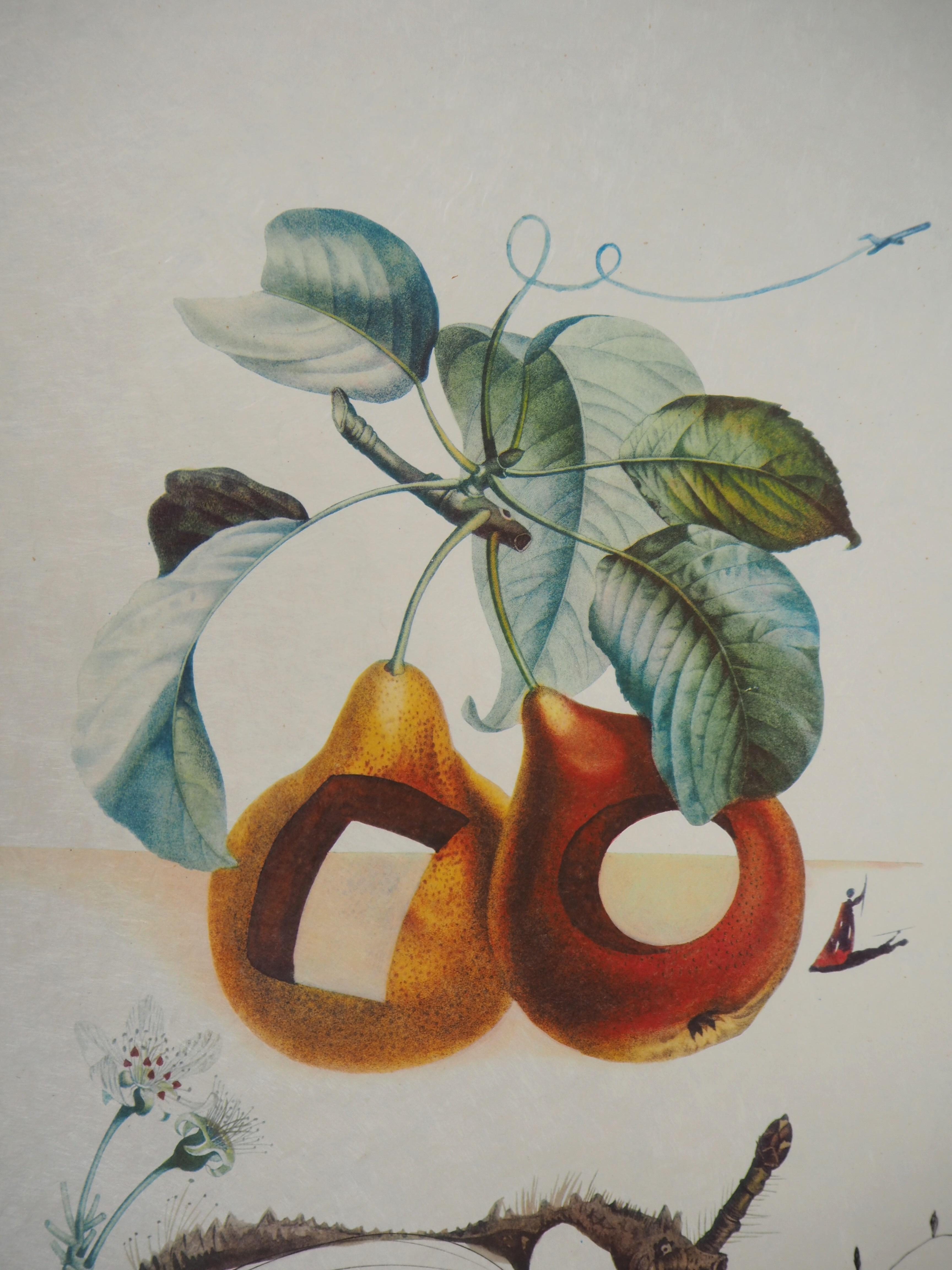 Salvador DALI
Flordali : Fruit with Holes (The Fruits)

Original embossed Lithograph and Etching
Handsigned in pencil
Numbered /35 copies.
On Japan paper 77 x 56 cm (c. 31 x 22 inch)

INFORMATION : 
From the serie 'FlorDali' (The Fruits) printed by