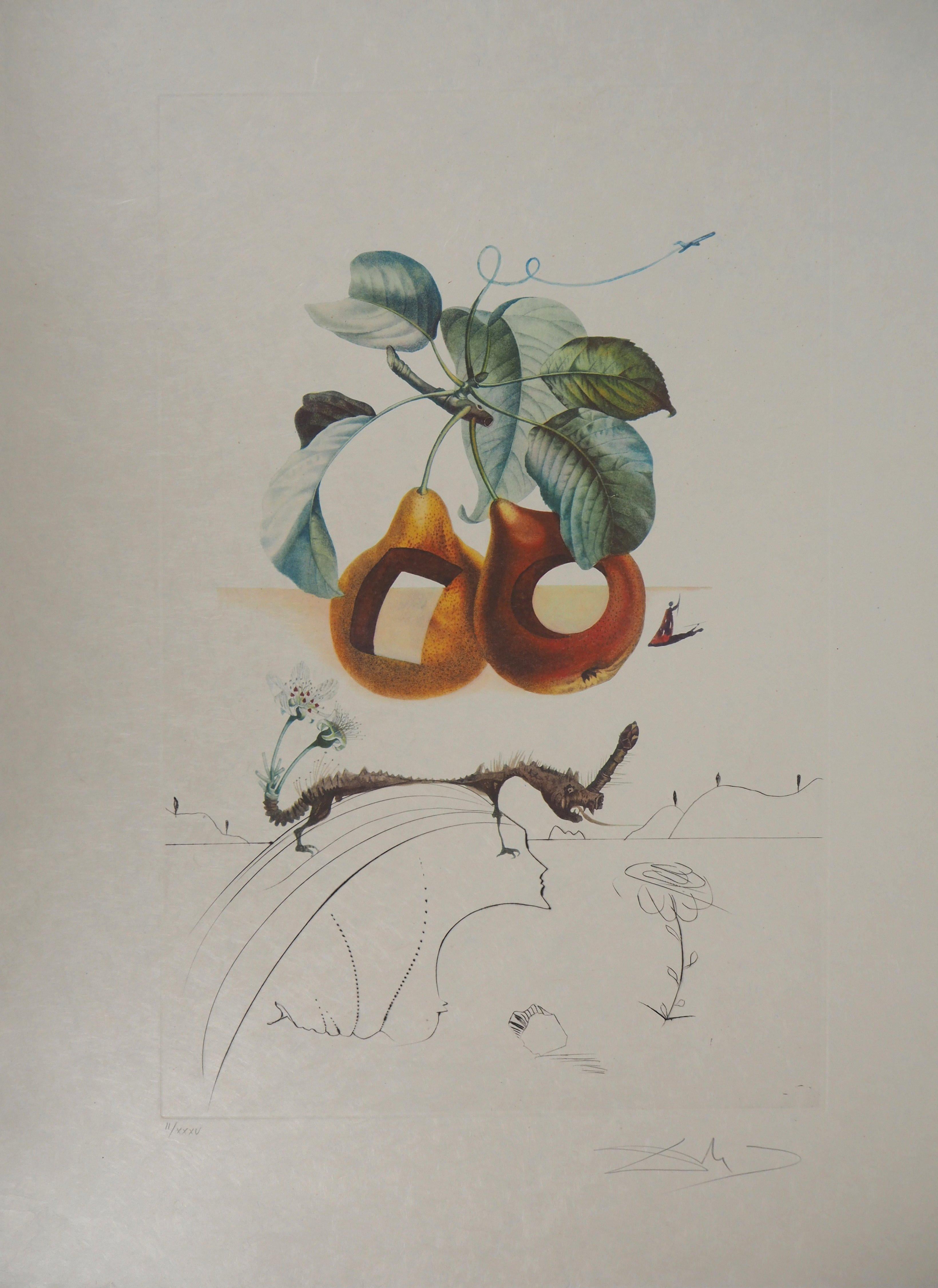 Salvador Dalí Figurative Print - Flordali : Fruit with Holes - Original Handsigned Etching (Field 69-11F)
