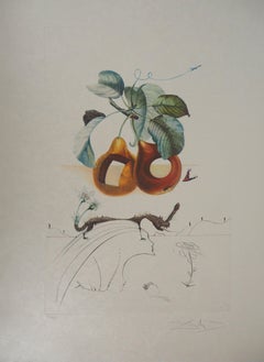 Flordali : Fruit with Holes - Original Handsigned Etching (Field 69-11F)