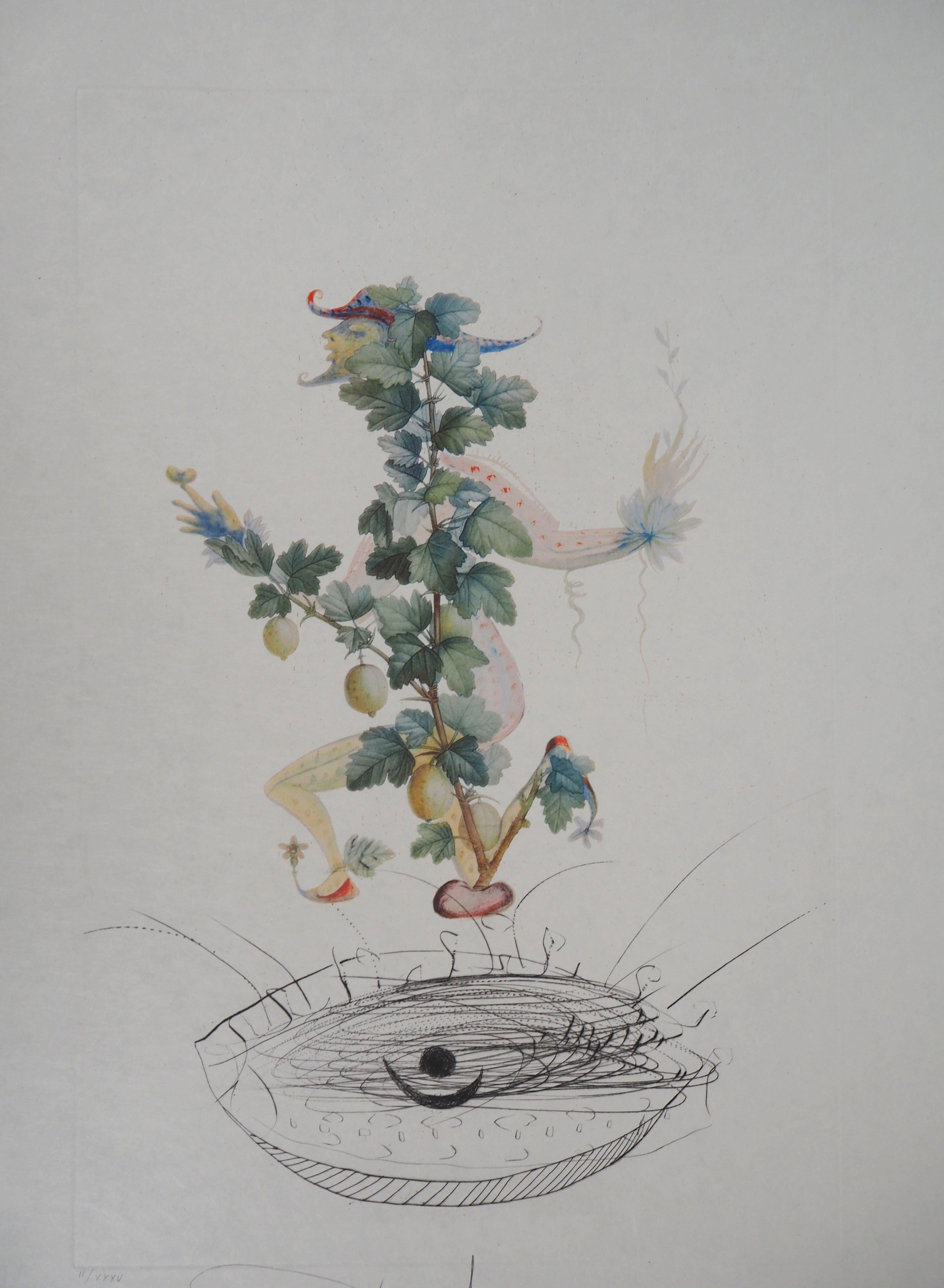 Flordali : Gooseberry - Original Handsigned Etching (Field 69-11J) - Print by Salvador Dalí