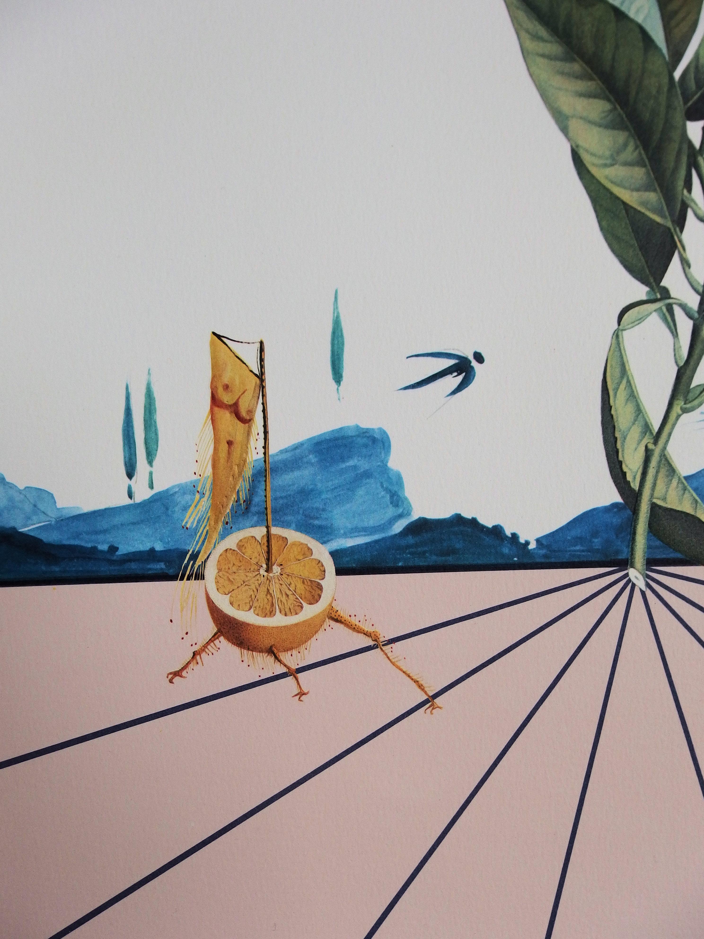 Salvador DALI
Flordali I

MEDIUM : Lithograph and embossing
SIGNATURE : Plate signed
LIMITED : 4880 copies
YEAR : 1981
PAPER : Arches vellum
SIZE : 30 x 42