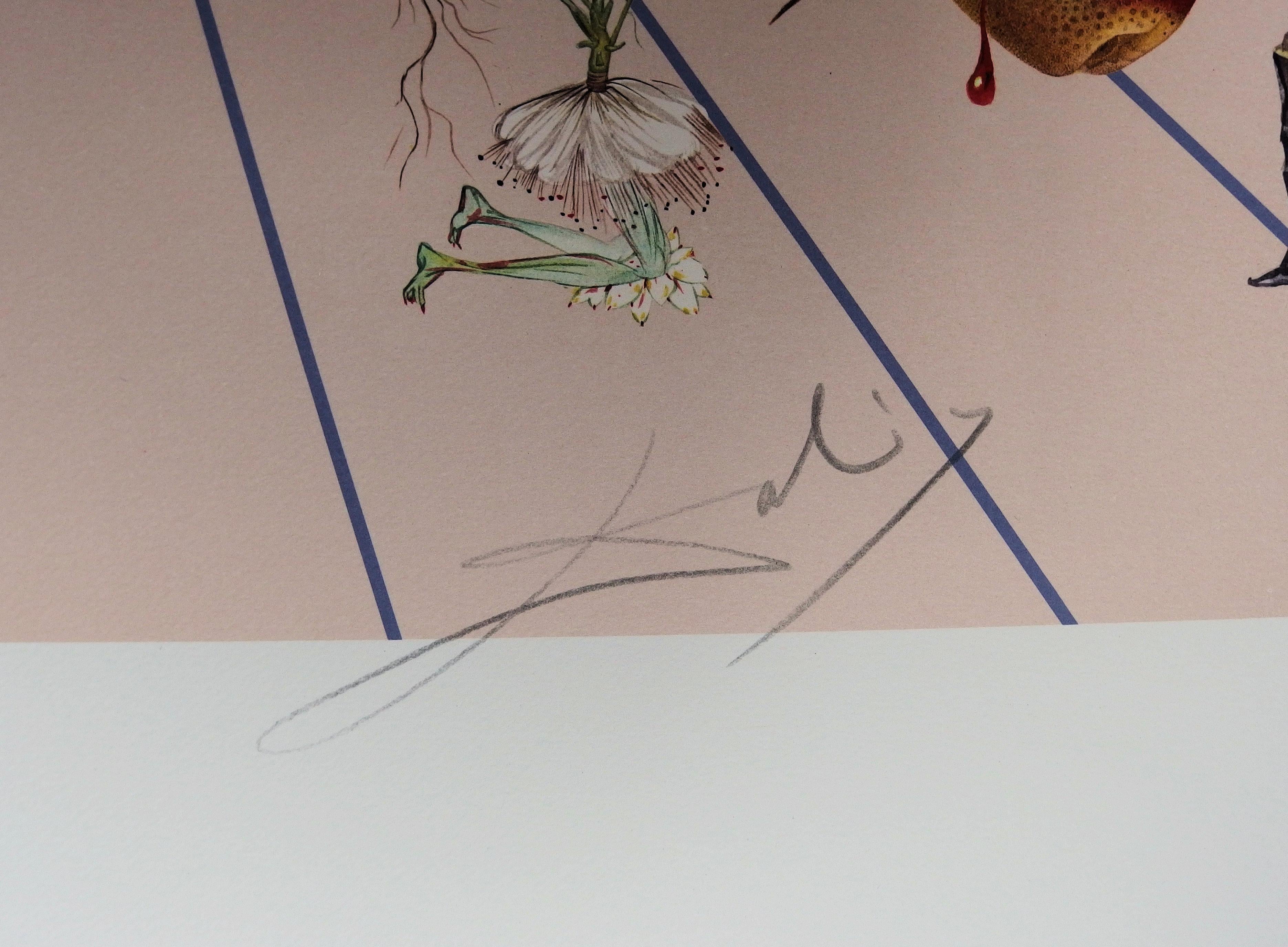 Flordal II: Schmetterlingsrose - Originallithographie (Feld S. 233) – Print von Salvador Dalí