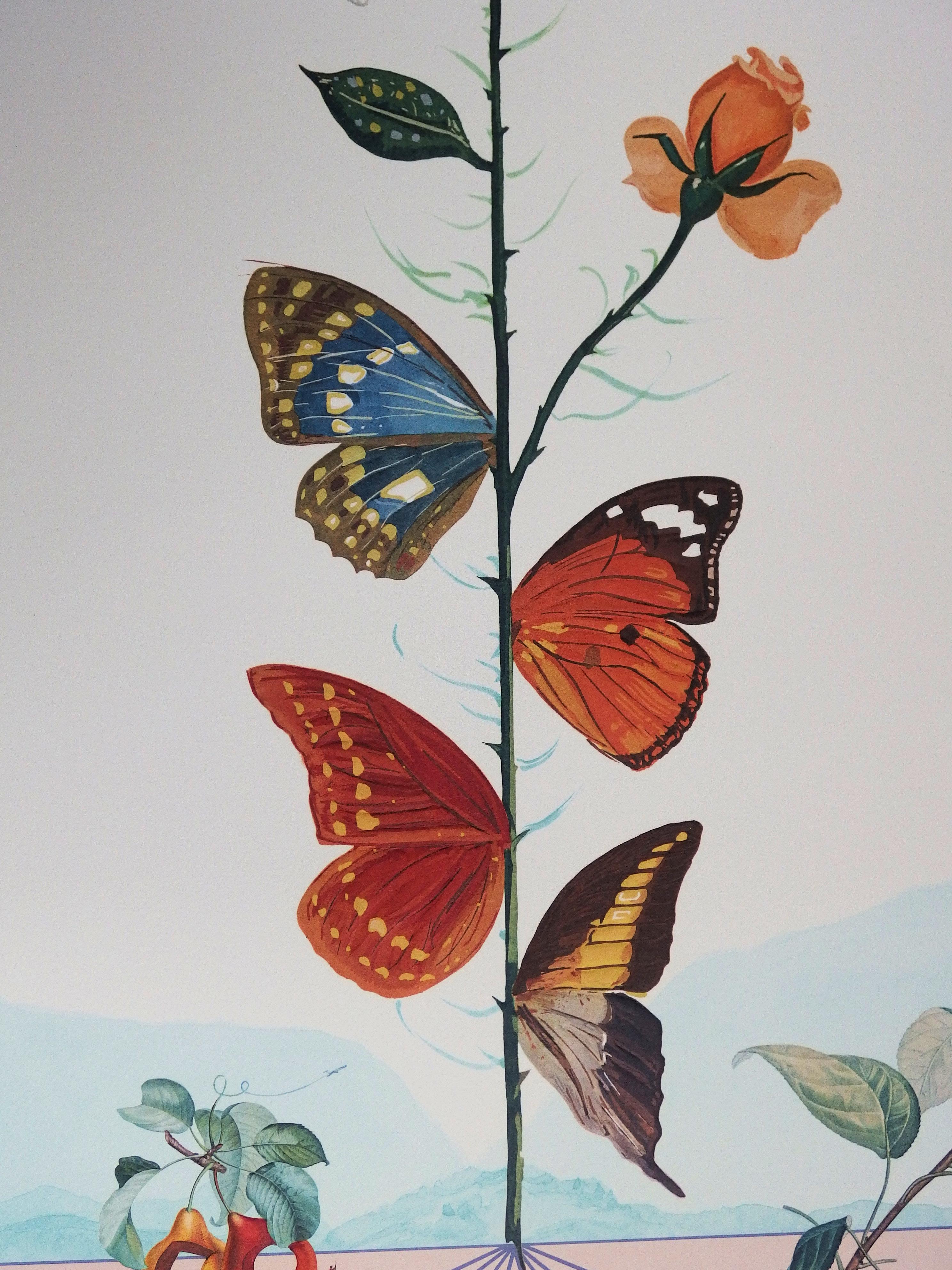 salvador dali butterfly rose