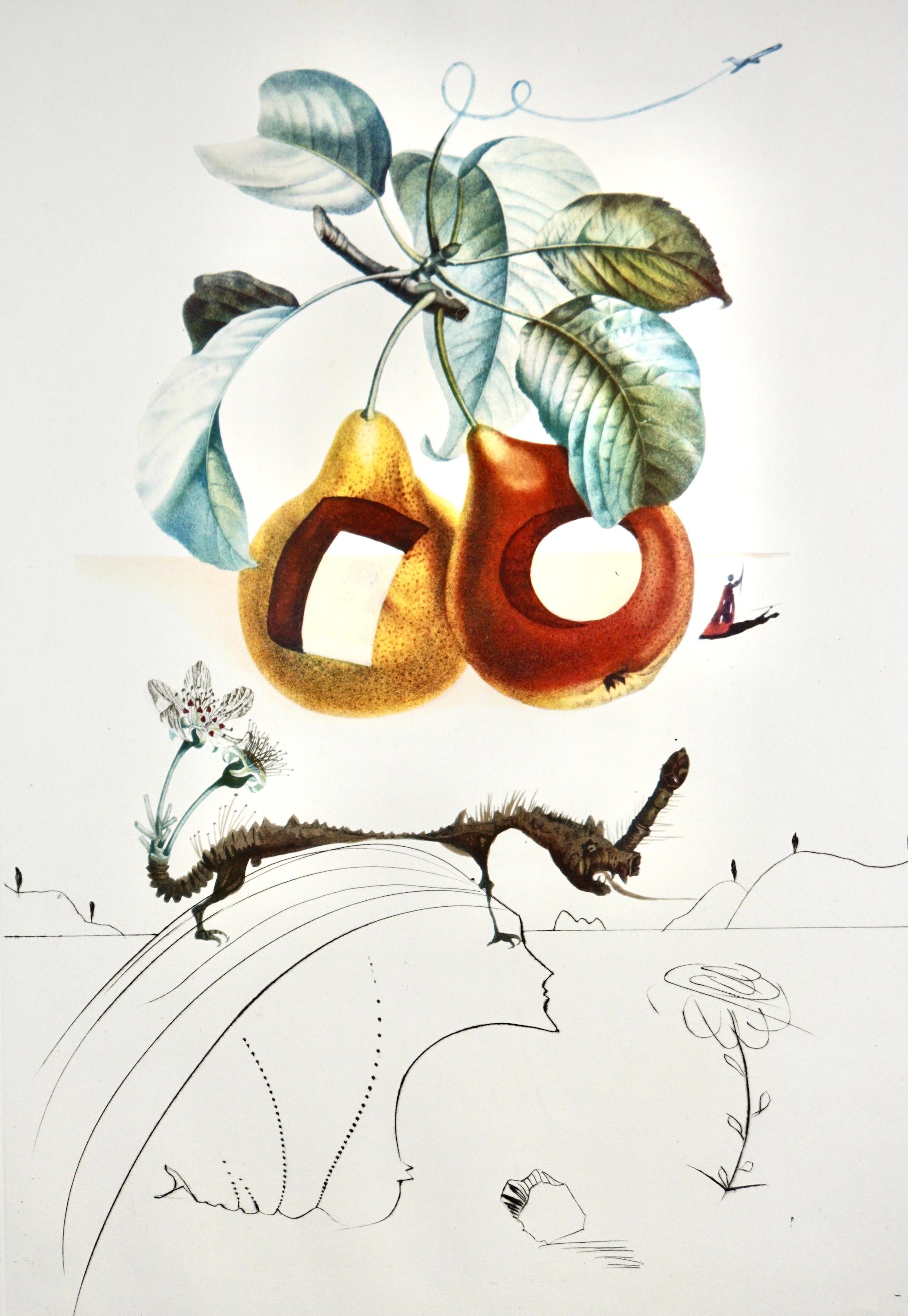 FlorDali/Les Fruits Obst mit Löchern – Print von Salvador Dalí