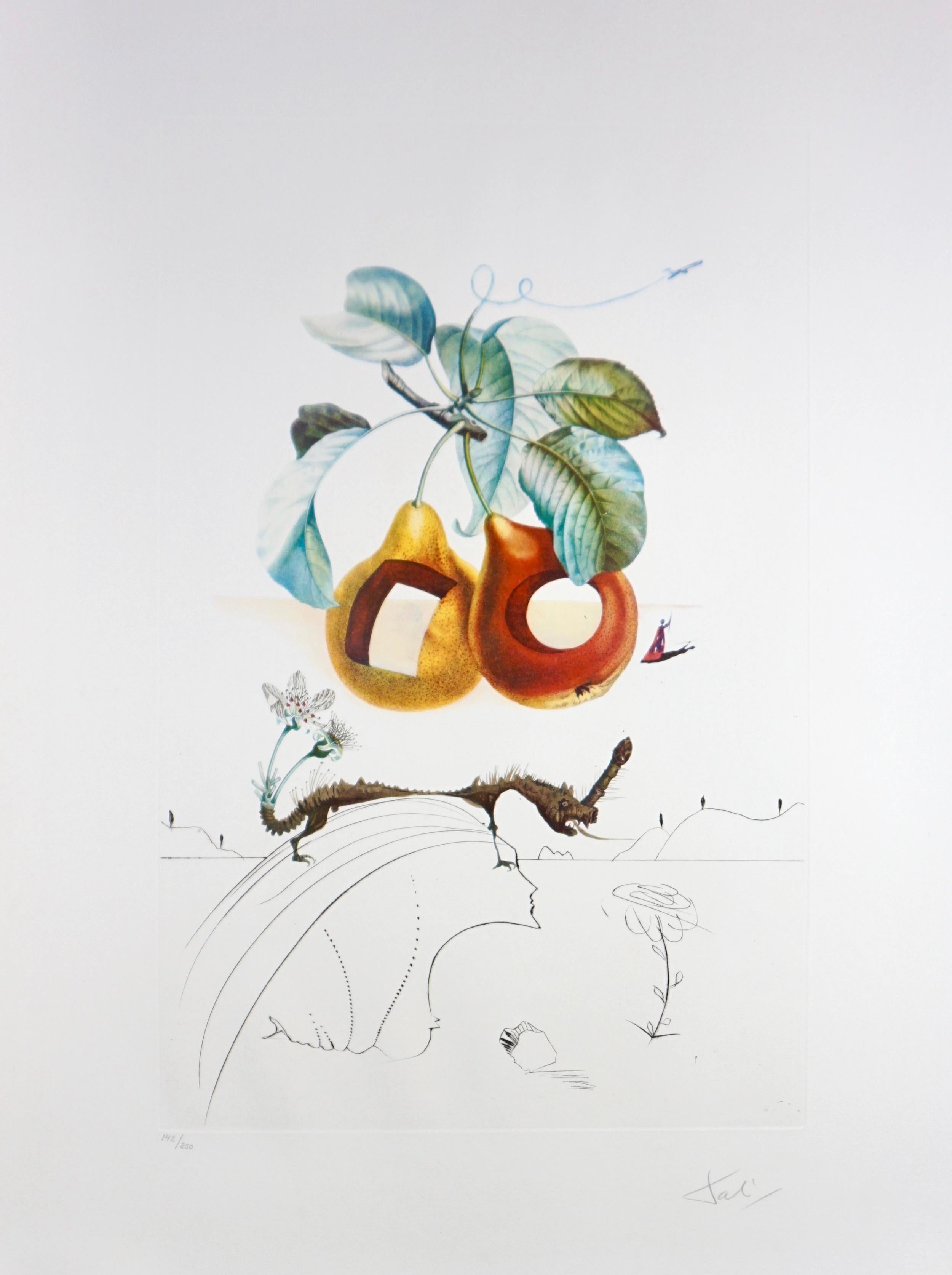 Salvador Dalí Print – FlorDali/Les Fruits Obst mit Löchern