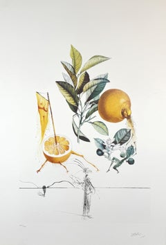 FlorDali/Les Fruits Pomelo