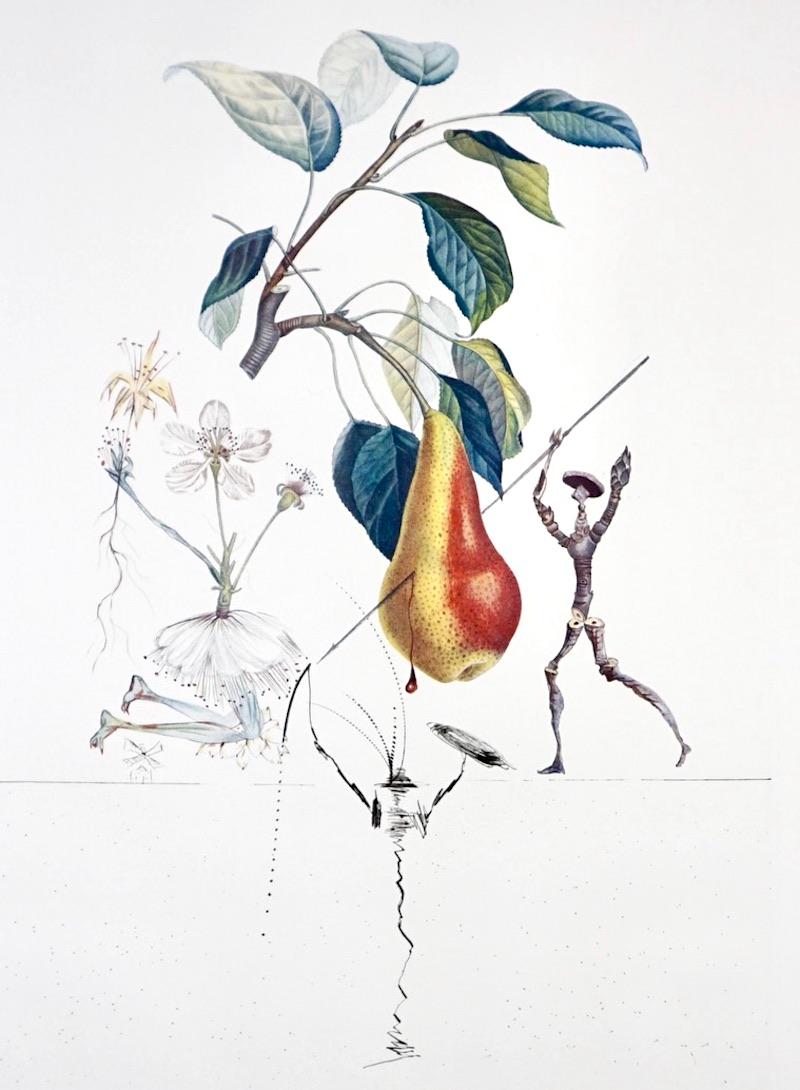 FlorDali/Les Fruits Pear - Print by Salvador Dalí