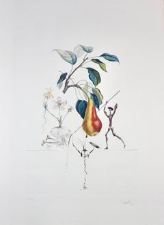 FlorDali/Les Fruits Pear