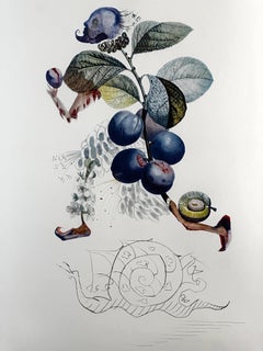 FlorDali/Les Fruits Plum